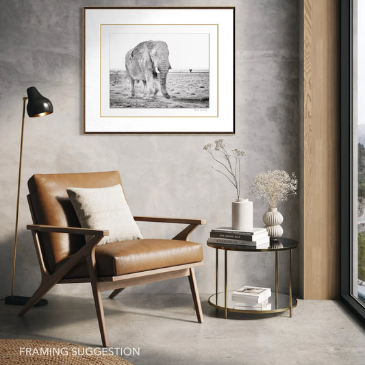 Peter Delaney’s Old Grey Ghost, a black and white elephant photograph from Etosha National Park, Namibia, framed in a contemporary interior.