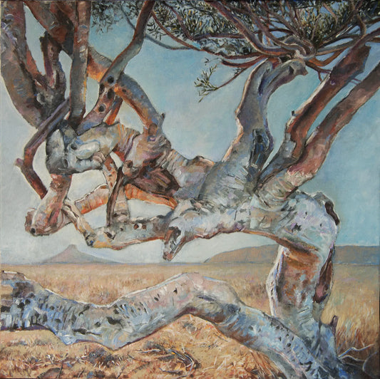 Shepherd Tree Tango by Hein Botha, acrylic on canvas depicting the twisting sculptural branches of a shepherd tree in a South African landscape.