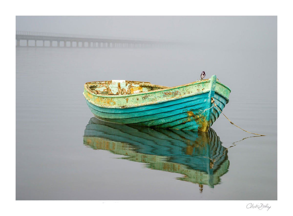 Bird On A Boat by Chris Daly, fine art photograph of a small bird perched on a weathered turquoise boat reflected in the still waters of Knysna Lagoon, South Africa.