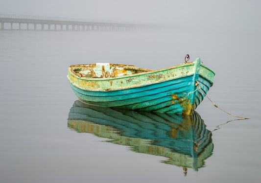 Bird On A Boat by Chris Daly, South African fine art photograph of a bird perched on a turquoise fishing boat on the misty waters of Knysna Lagoon.
