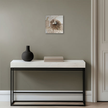 Hein Botha limited edition nest print displayed above a console table