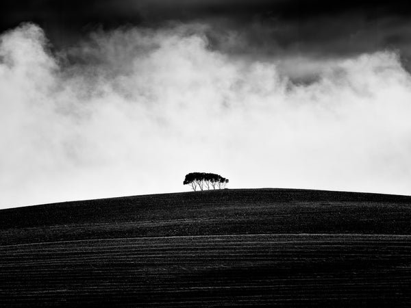 Black and white fine art photograph by Peter Delaney of five trees on a furrowed hillside beneath dark, dramatic storm clouds.