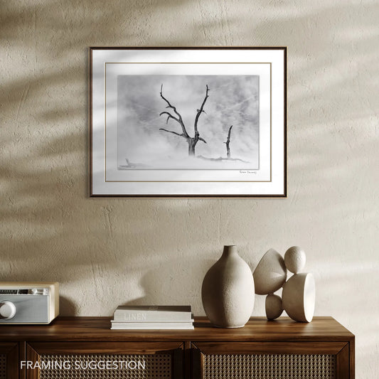 Peter Delaney’s black and white Deadvlei landscape photography shown framed above a wooden sideboard.