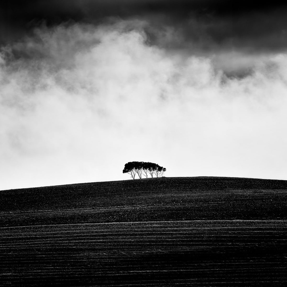 Kareno by Peter Delaney, black and white landscape photograph of a solitary group of trees silhouetted on a dark hillside beneath a dramatic cloud-filled sky.