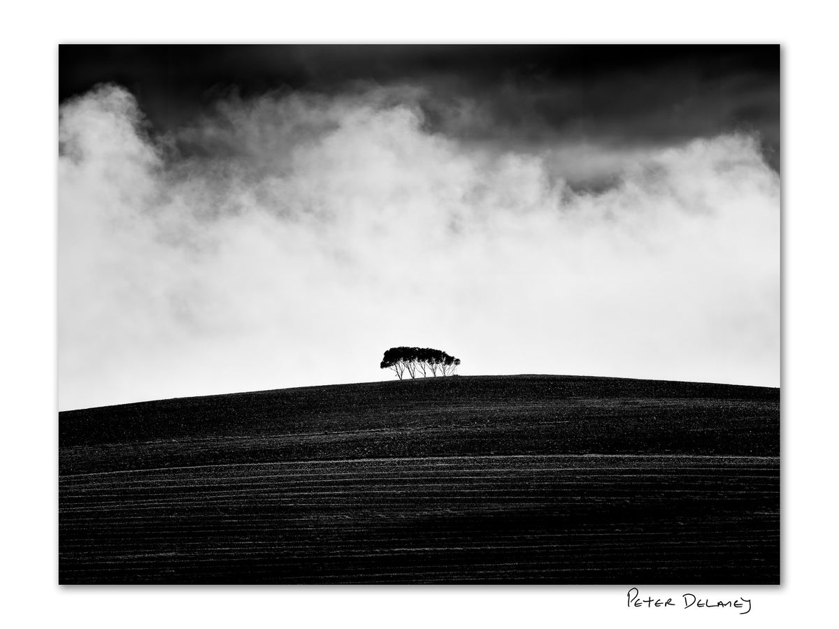 Peter Delaney black-and-white landscape photograph of a solitary group of trees silhouetted on a dark rolling hillside beneath dramatic clouds.