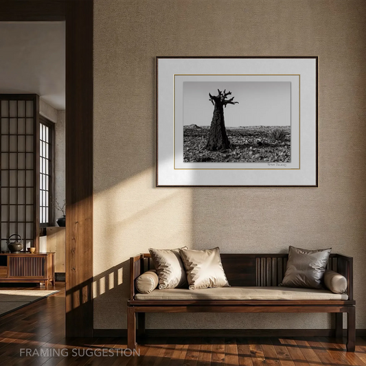 Framing suggestion for Peter Delaney’s Kuchiki no Tamashii, a black and white Quiver Tree photograph, displayed in a warm neutral interior.