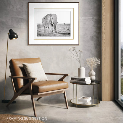 Peter Delaney’s Old Grey Ghost, a black and white elephant photograph from Etosha National Park, Namibia, framed in a contemporary interior.