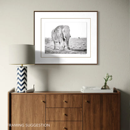 Framed black and white wildlife photograph of an elephant in Namibia’s Etosha National Park by Peter Delaney, displayed above a wooden sideboard.
