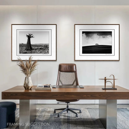 Peter Delaney black and white landscape photography set, featuring a sculptural quiver tree and stromy landscape, displayed in frames in a contemporary office.
