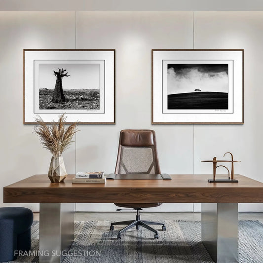 Peter Delaney black and white landscape photography set, featuring a sculptural quiver tree and stromy landscape, displayed in frames in a contemporary office.