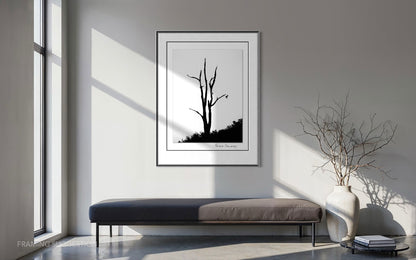 Peter Delaney’s Zanshin black and white fine art photograph displayed above a bench in a minimalist contemporary interior with natural light.