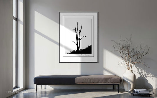 Peter Delaney’s Zanshin black and white fine art photograph displayed above a bench in a minimalist contemporary interior with natural light.