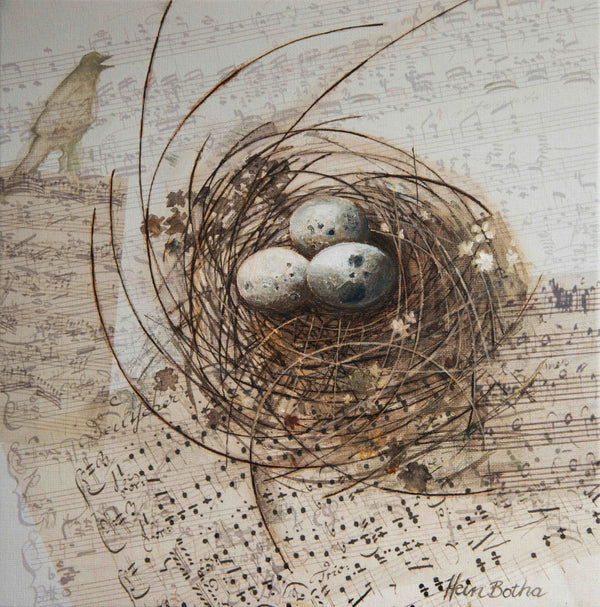 Limited edition nest artwork by Hein Botha with bird eggs and musical notation